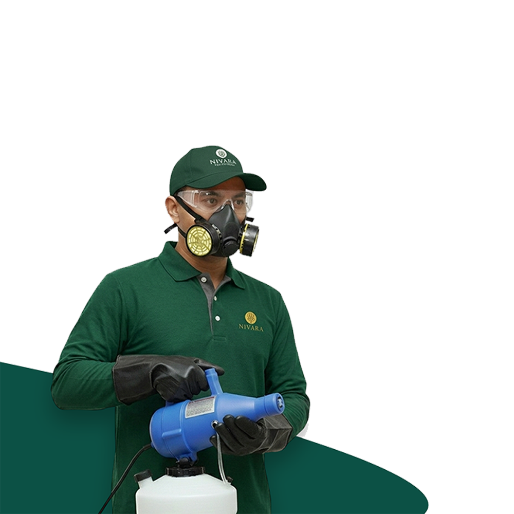 Petugas Nivara Pest Control
